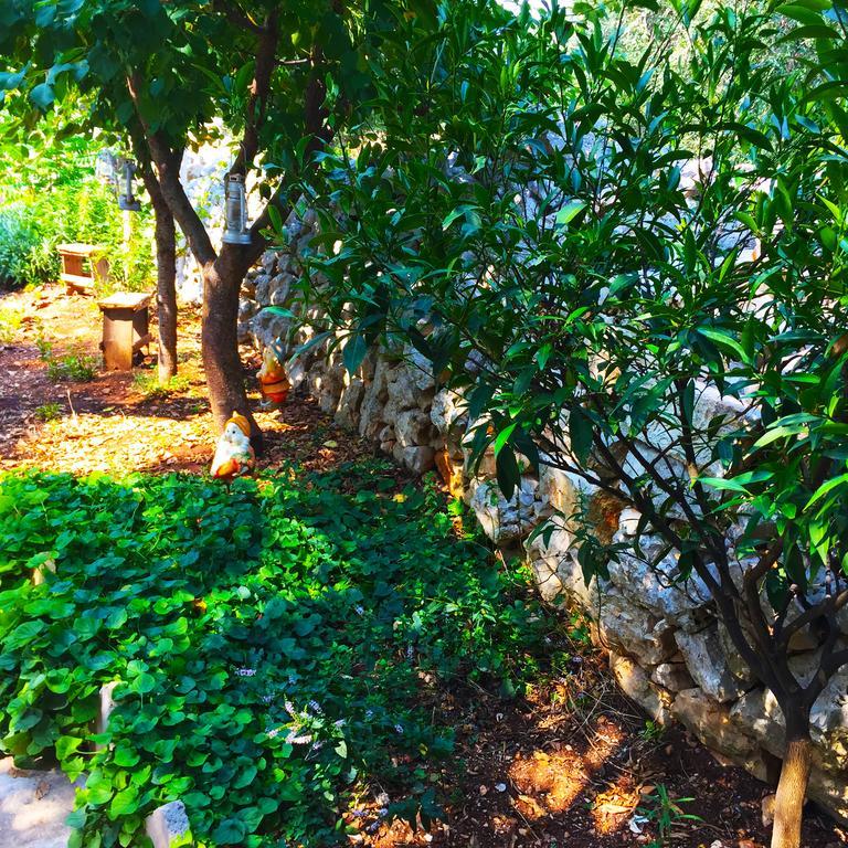 מונופולי Masseria Nenetta Bed And Breakfast מראה חיצוני תמונה