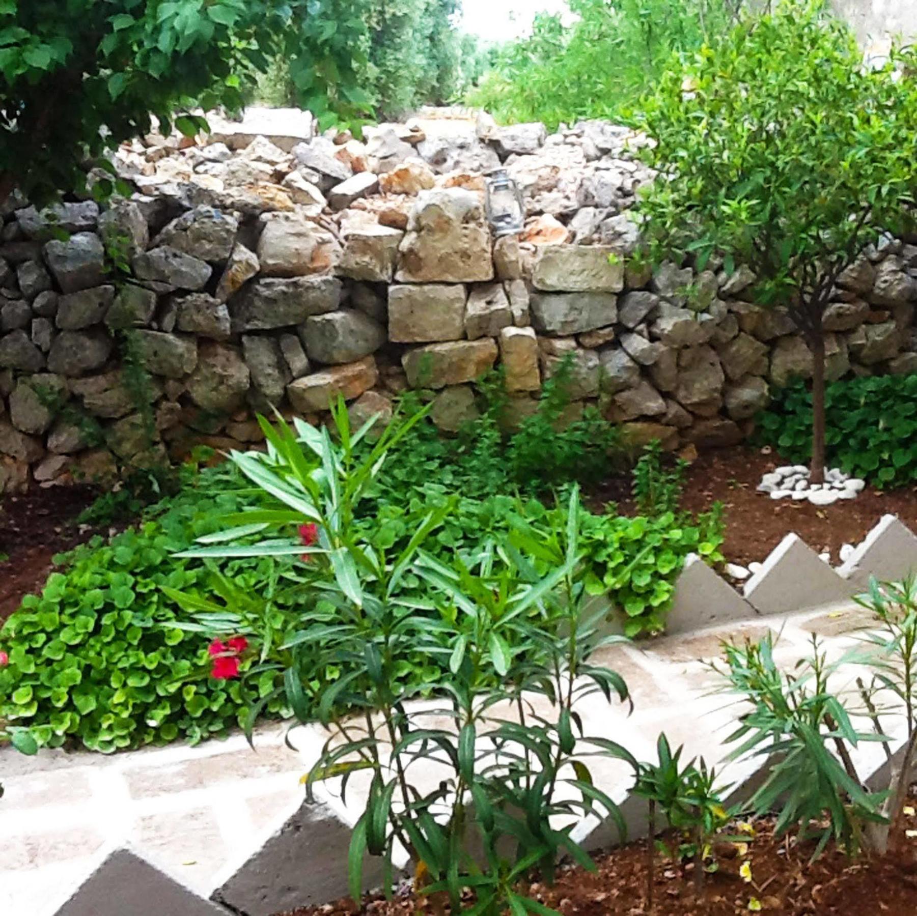 מונופולי Masseria Nenetta Bed And Breakfast מראה חיצוני תמונה