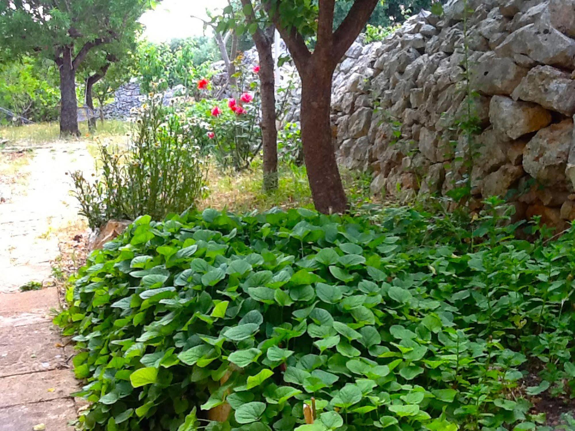 מונופולי Masseria Nenetta Bed And Breakfast מראה חיצוני תמונה